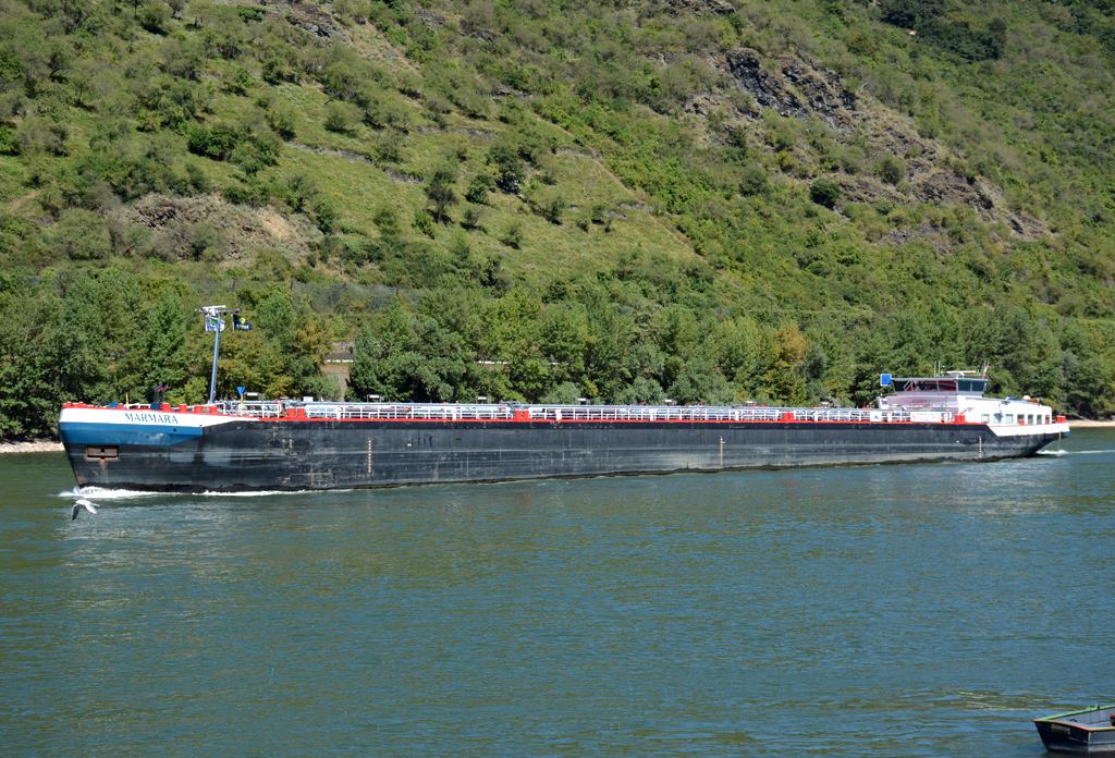 TMS  Marmara  - Rhein bei Boppard - 23.08.2016