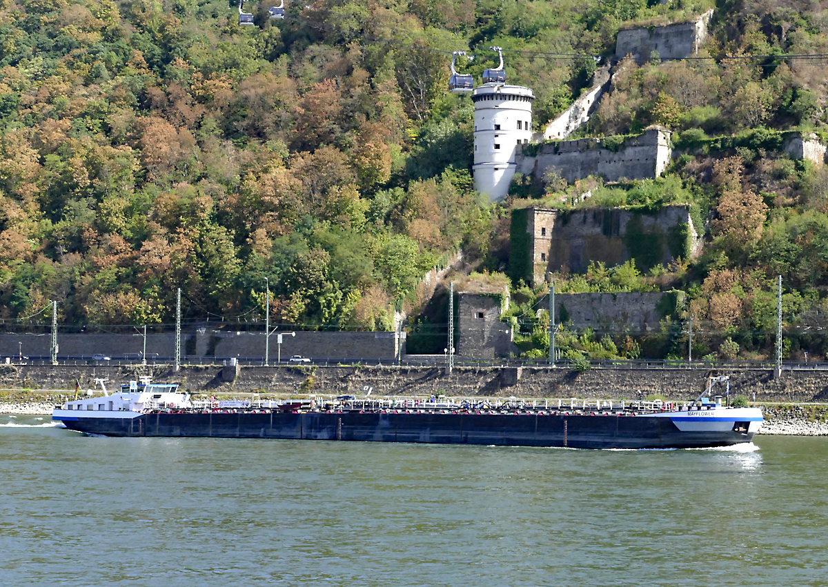 TMS Mayflower auf dem Rhein unterhalb der Festung Ehrenbreitstein in Koblenz - 19.02.2018