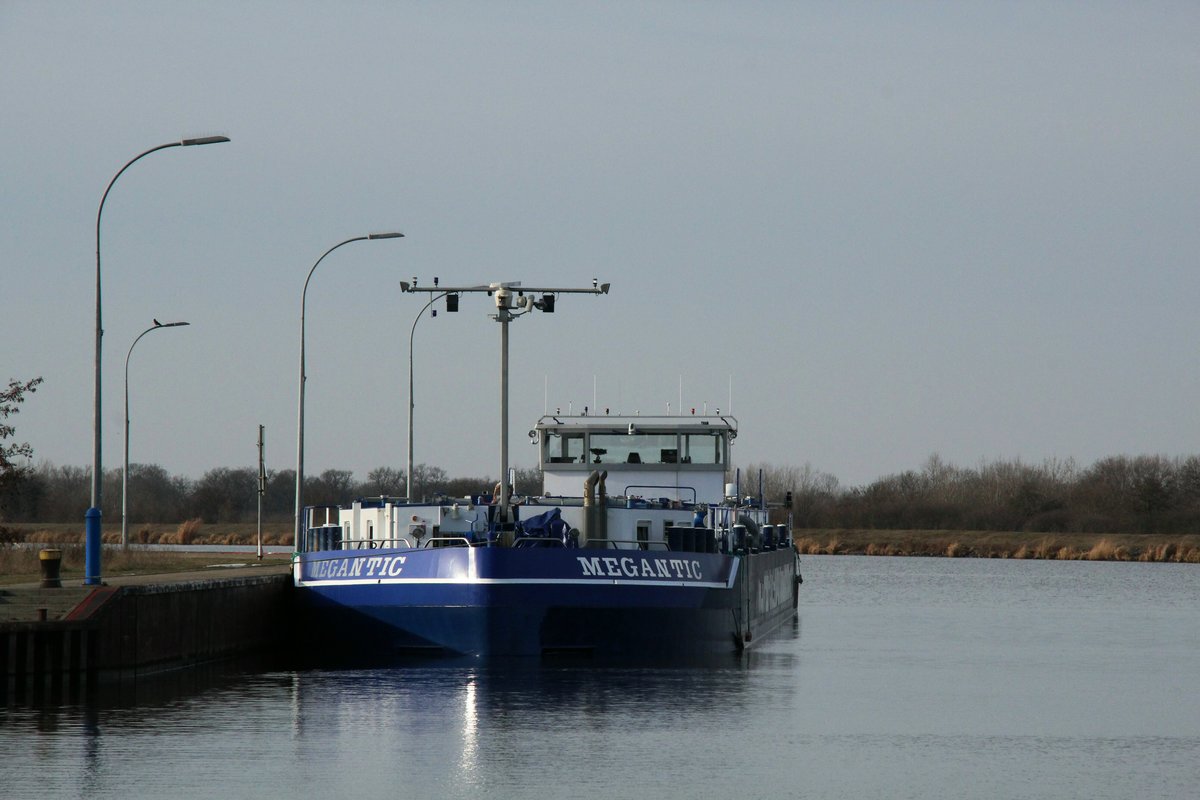 TMS Megantic (04811380 , 84,8 x 9,5m) lag am 04.02.2019 oberhalb der Schleuse Rothensee im Mittellandkanal / Rothenseer Verbindungskanal.