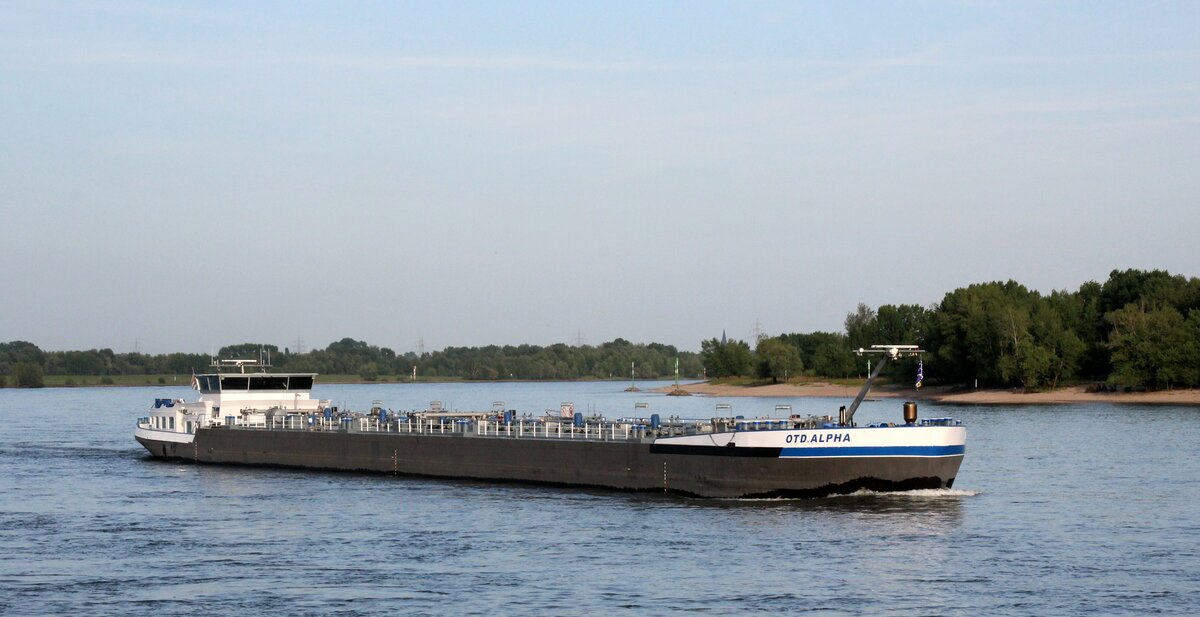 TMS  OTD.ALPHA  (02329682 , 110 x 11,40m)  am 12.06.2025 auf dem  RHEIN  vor Rees zu Tal.