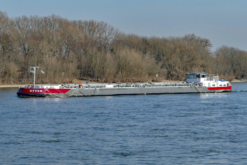 TMS  Otter , Rhein bei Wesseling - 14.02.2017