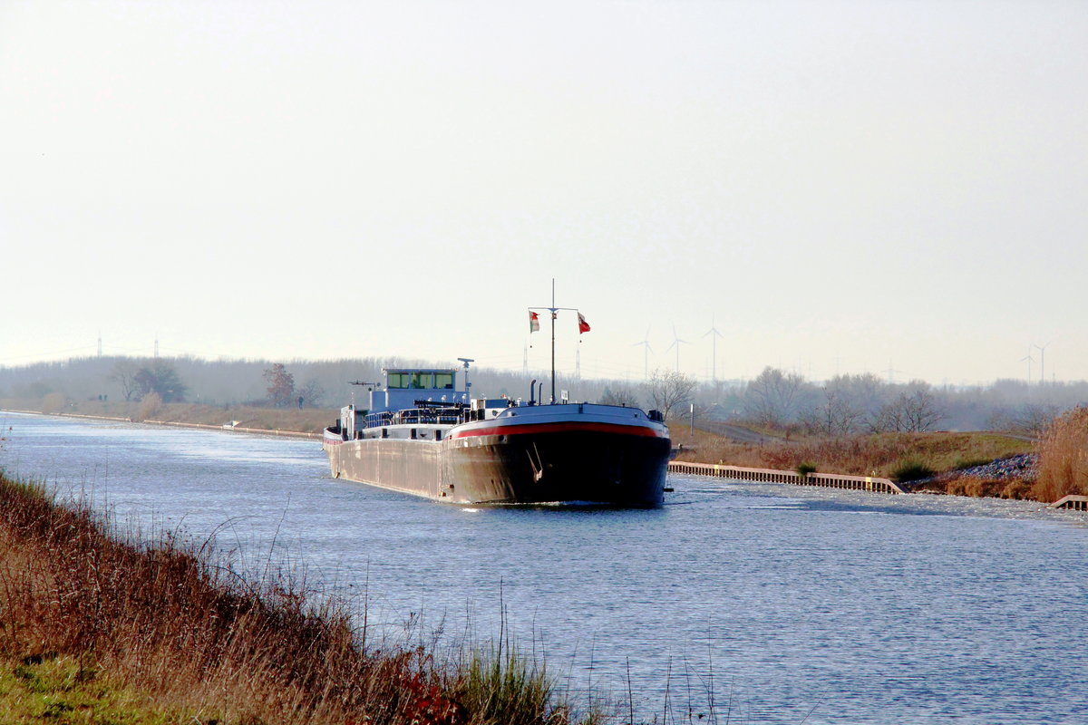 TMS  PARTNER  (02325307 , 105 x 9m) am 22.02.2021 im  MITTELLANDKANAL  Höhe Barleber See I auf Bergfahrt.