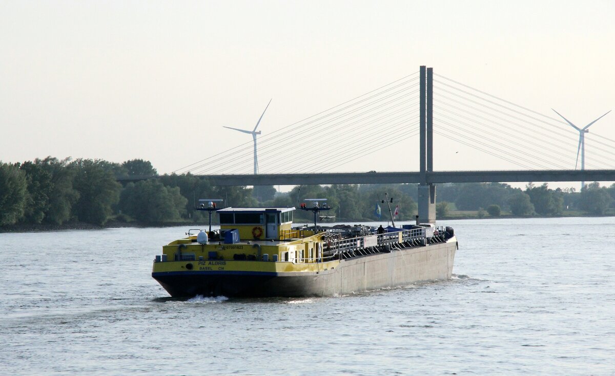 TMS  PIZ ALBRIS  (07001823 , 85,75 x 11,40m) am 12.06.2025 auf dem  RHEIN  bei Rees zu Tal.