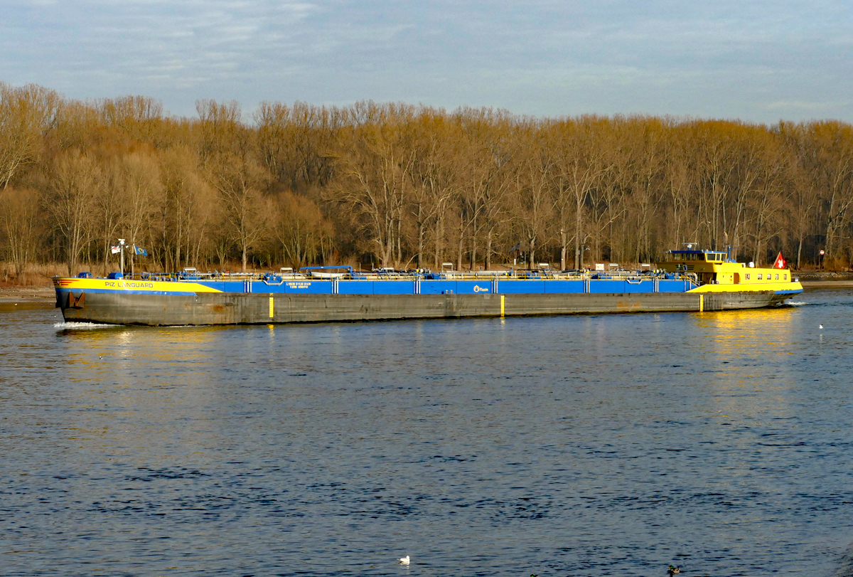 TMS  Piz Languard , Rhein bei Wesseling - 14.02.2017