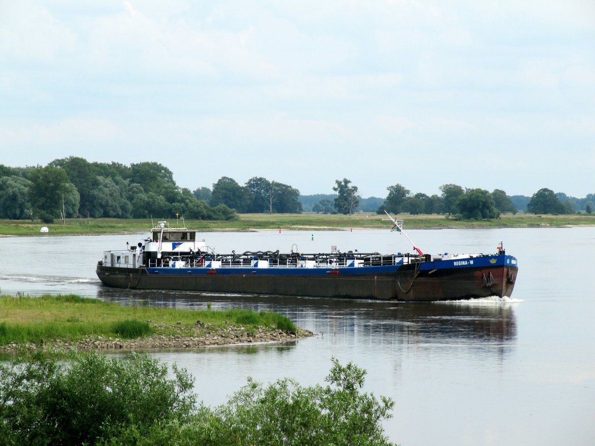 TMS Regina-W (05101050 , 80 x 9m) am 16.06.2016 auf der Elbe bei Gnevsdorf auf Talfahrt.