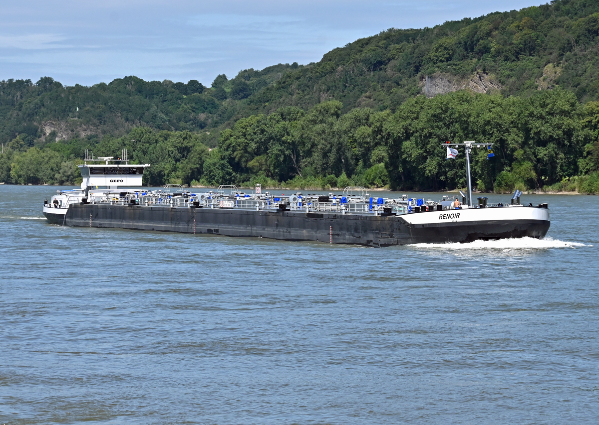 TMS RENOIR auf dem Rhein bei Bad Hönningen - 14.08.2021