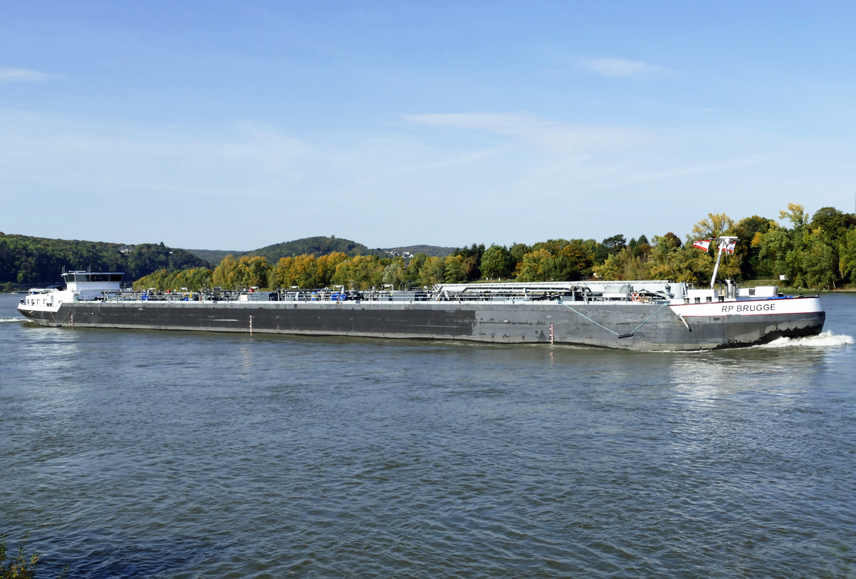 TMS  RP BRUGGE  auf dem Rhein in Remagen - 13.10.2019