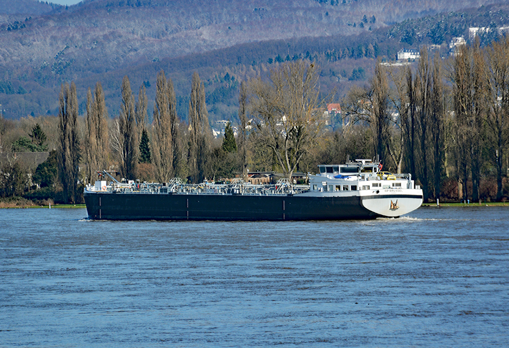 TMS  RP Brussel  aus Basel auf dem Rhein bei Oberwinter - 16.02.2016