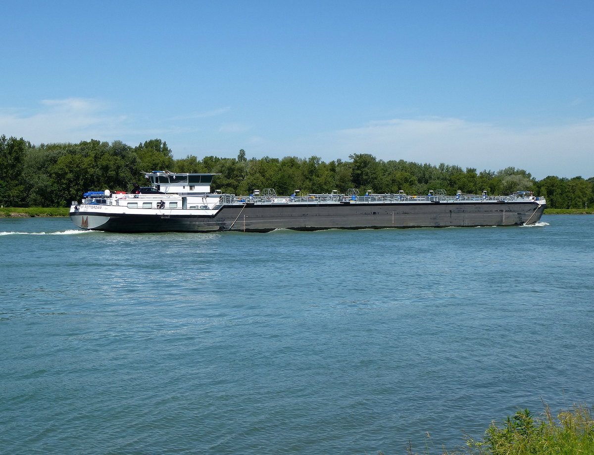 TMS  RP Rotterdam , rheinabwrts bei Breisach, Juni 2017