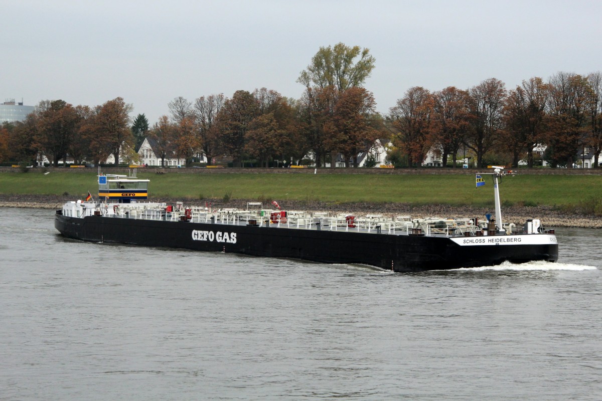 TMS Schloss Heidelberg (04809220 , 110 x 11,40m) am 23.10.2014 in Düsseldorf auf Rhein-Bergfahrt.