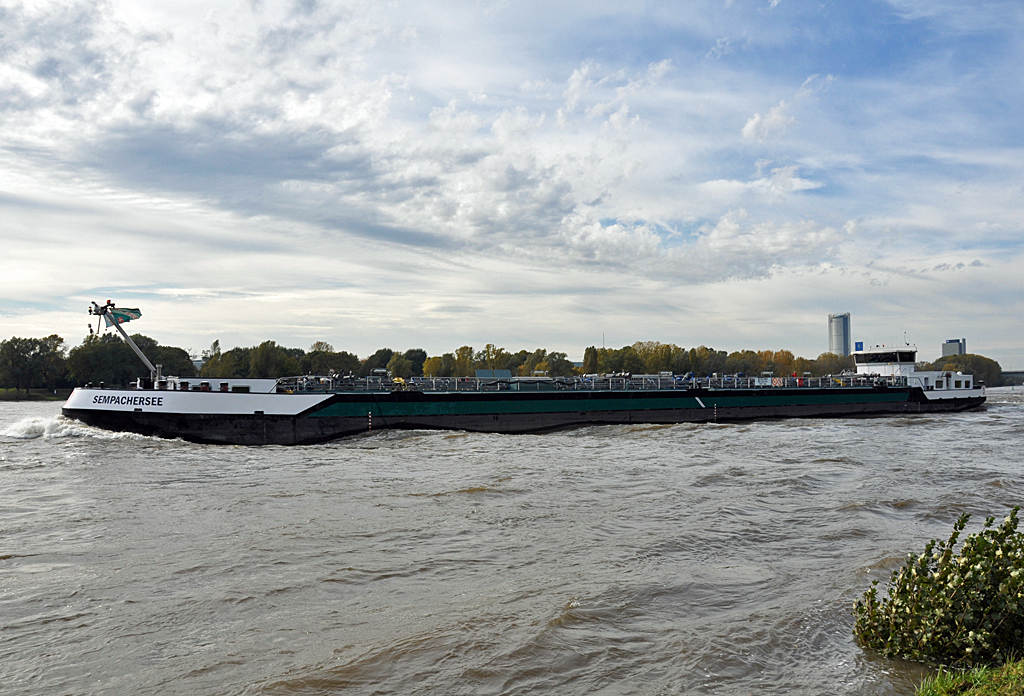 TMS  SEMPACHERSEE  auf dem Rhein bei Oberkassel - 19.10.2013