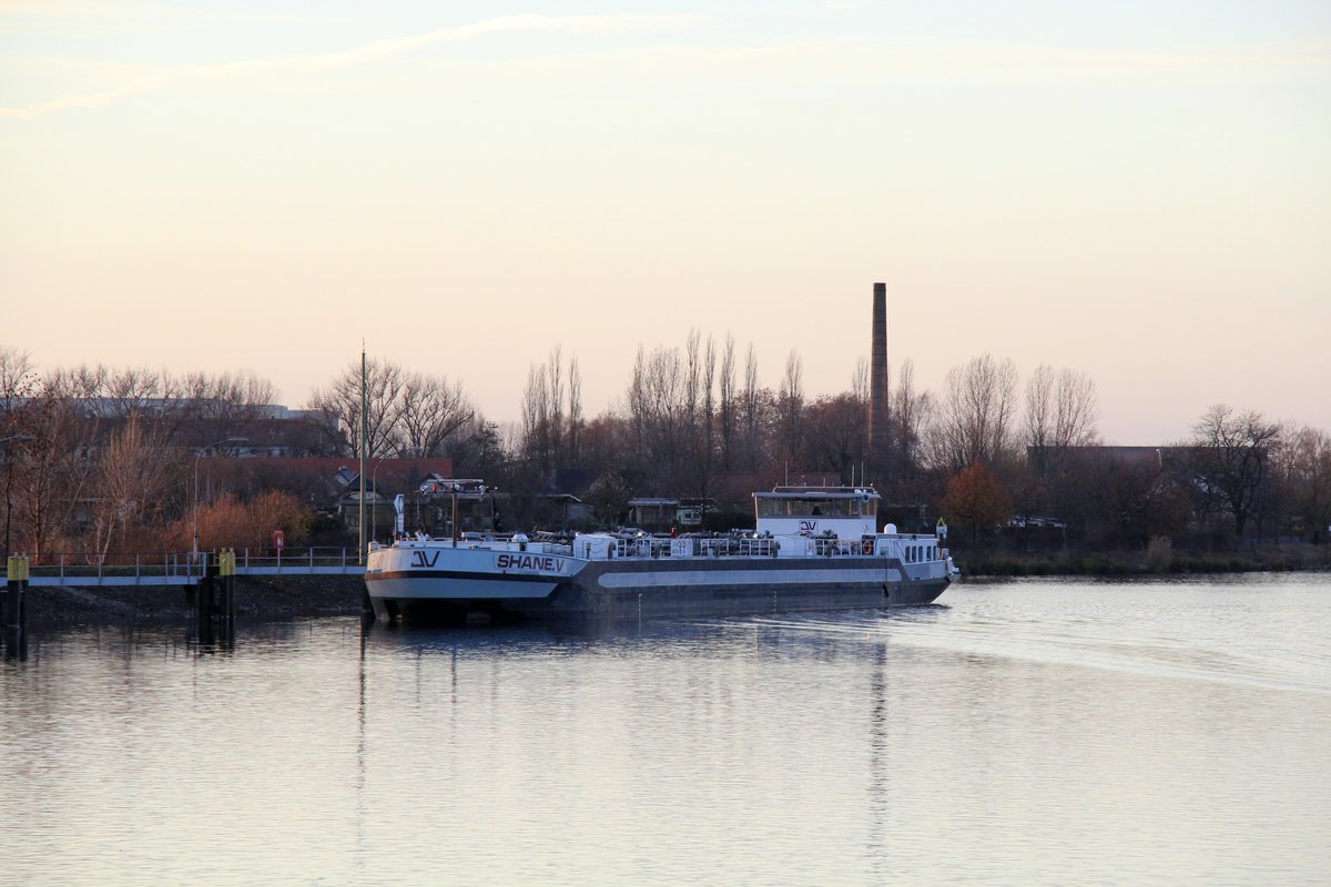 TMS Shane.V (04805500 , 85,90 x 9,50m) machte am 03.12.2018 vor der Vorstadtschleuse Brandenburg/Havel auf dem Weg nach Berlin Feierabend.