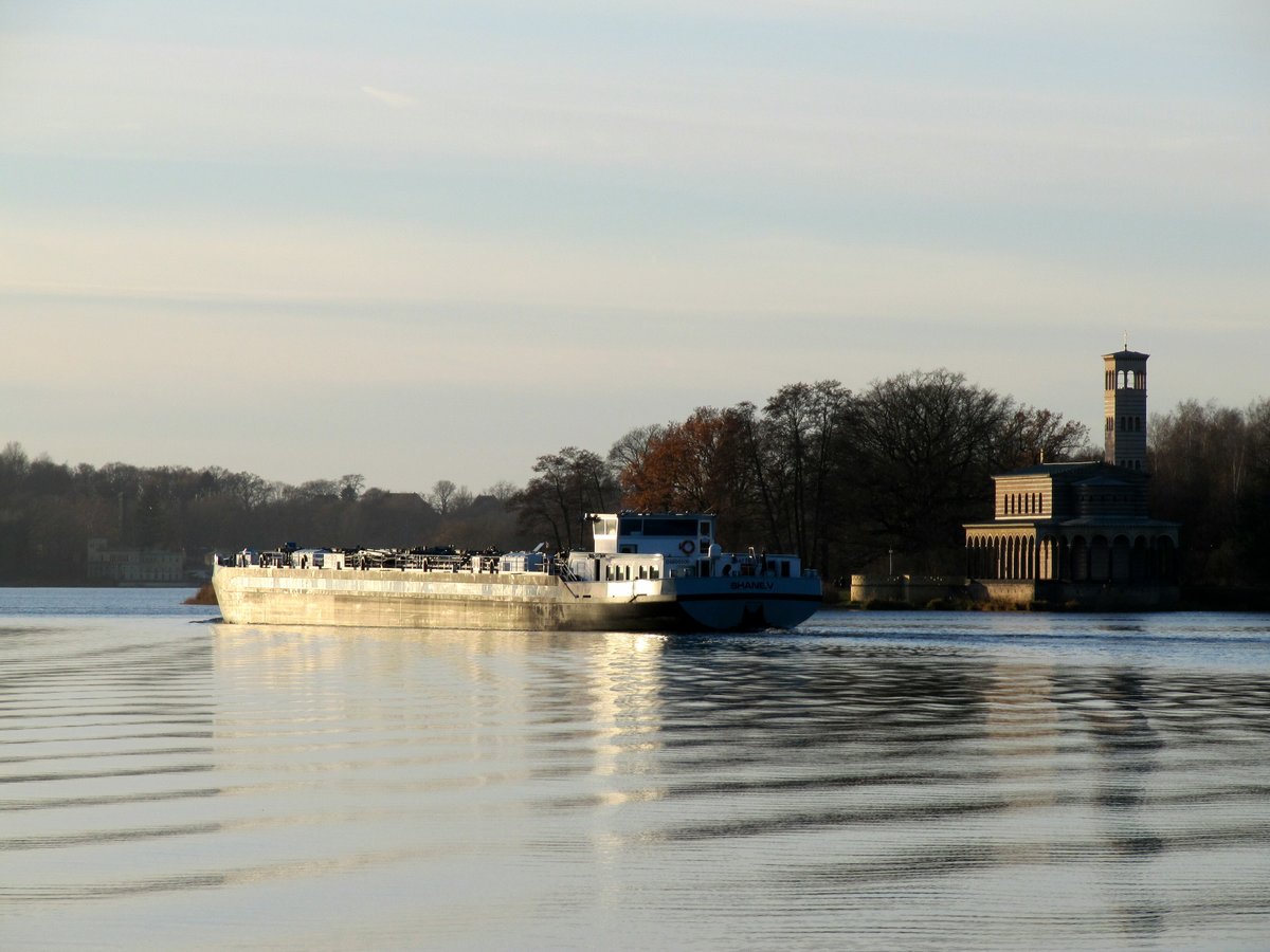 TMS Shane.V (04805500 , 85,90 x 9,5m) am 05.12.2018 auf Havel-Talfahrt zw. der Sacrower-Heilandskirche (rechts im Bild) und dem Krughorn.