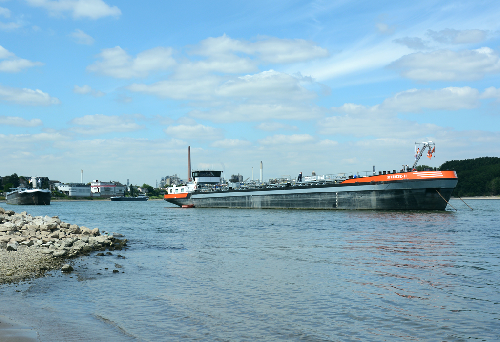 TMS  Synthese-11  auf dem Rhein bei Wesseling vor Anker - 23.06.2014