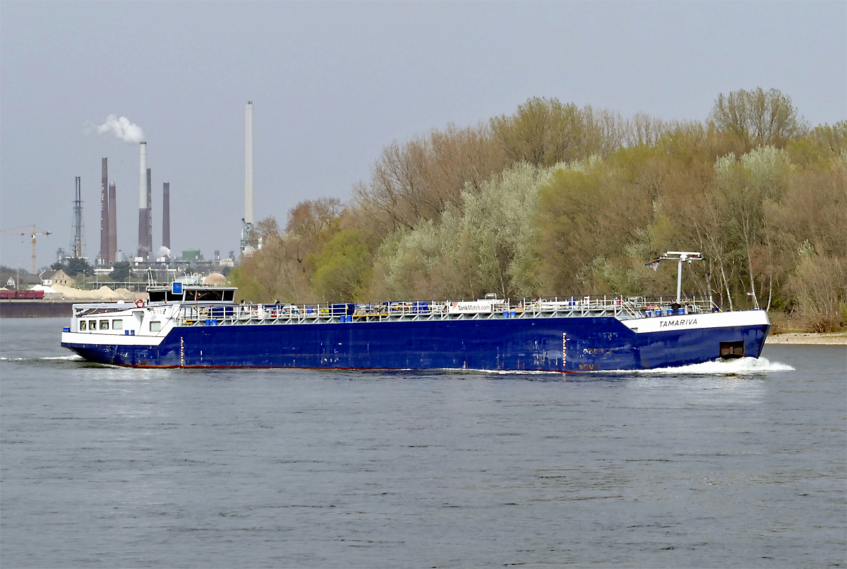 TMS  TAMARIVA  auf dem Rhein in Wesseling - 06.04.2019