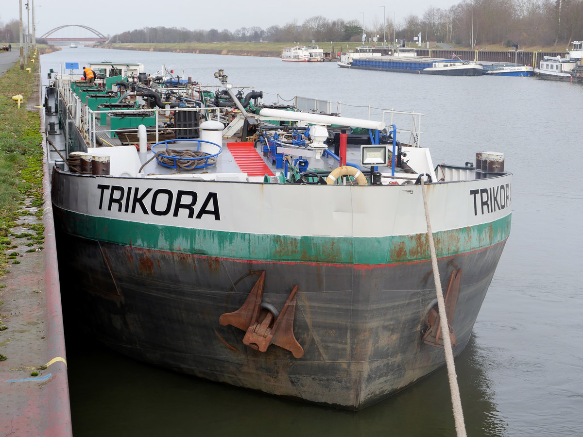 TMS TRIKORA, ENI 05108260 (ex Elbe XII, ex Trave, ex Piz Trikora)  Interstream Barging Vegoil nur für Lebensmittel   im Unterwasser Schiffshebewerk Lüneburg; Scharnebeck, 11.01.2020
