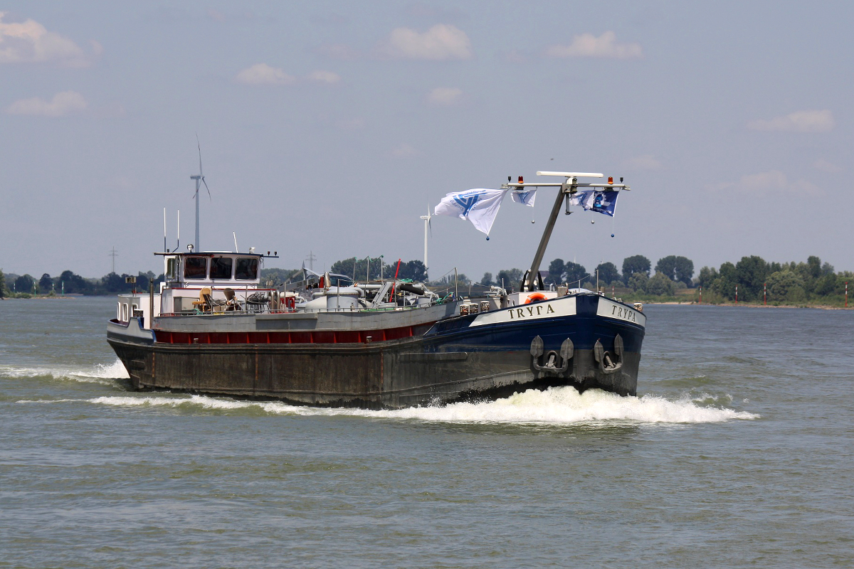 TMS TRYPA (ENI:03270638) L.55,5m B.6,08m To 565 Baujahr 1962 am 25.06.2020 auf dem Rhein in Xanten zu Berg.  