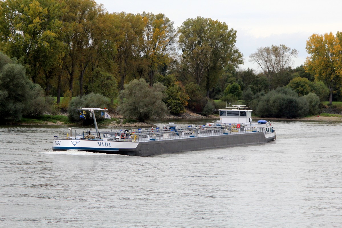 TMS Vidi , 02331965 , 110 x 11,45m , am 20.10.2014 zw. Rhein-km 470 u. 471 auf Bergfahrt.