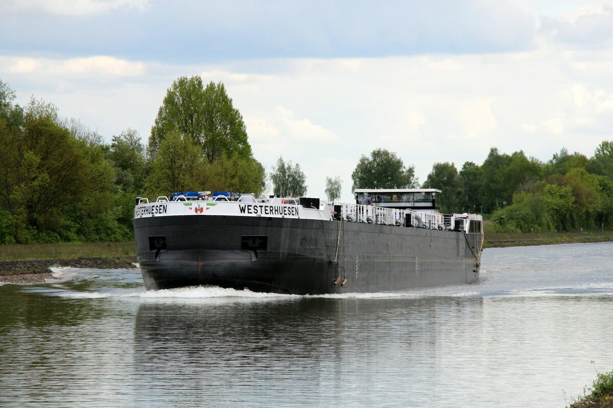 TMS  WESTERHUESEN  (04813670 , 84,97 x 9,60m) am 19.05.2021 im  ELBE-SEITENKANAL  zw. Lüder und Bad Bodenteich auf Talfahrt.