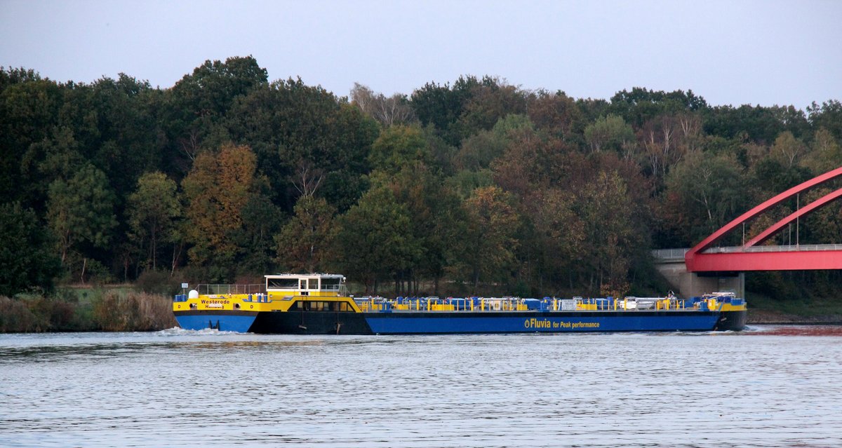 TMS Westerode (04813640 , 85 x 9,60m) am 23.10.2019 im Mittellandkanal Höhe Edesbüttel auf Bergfahrt.