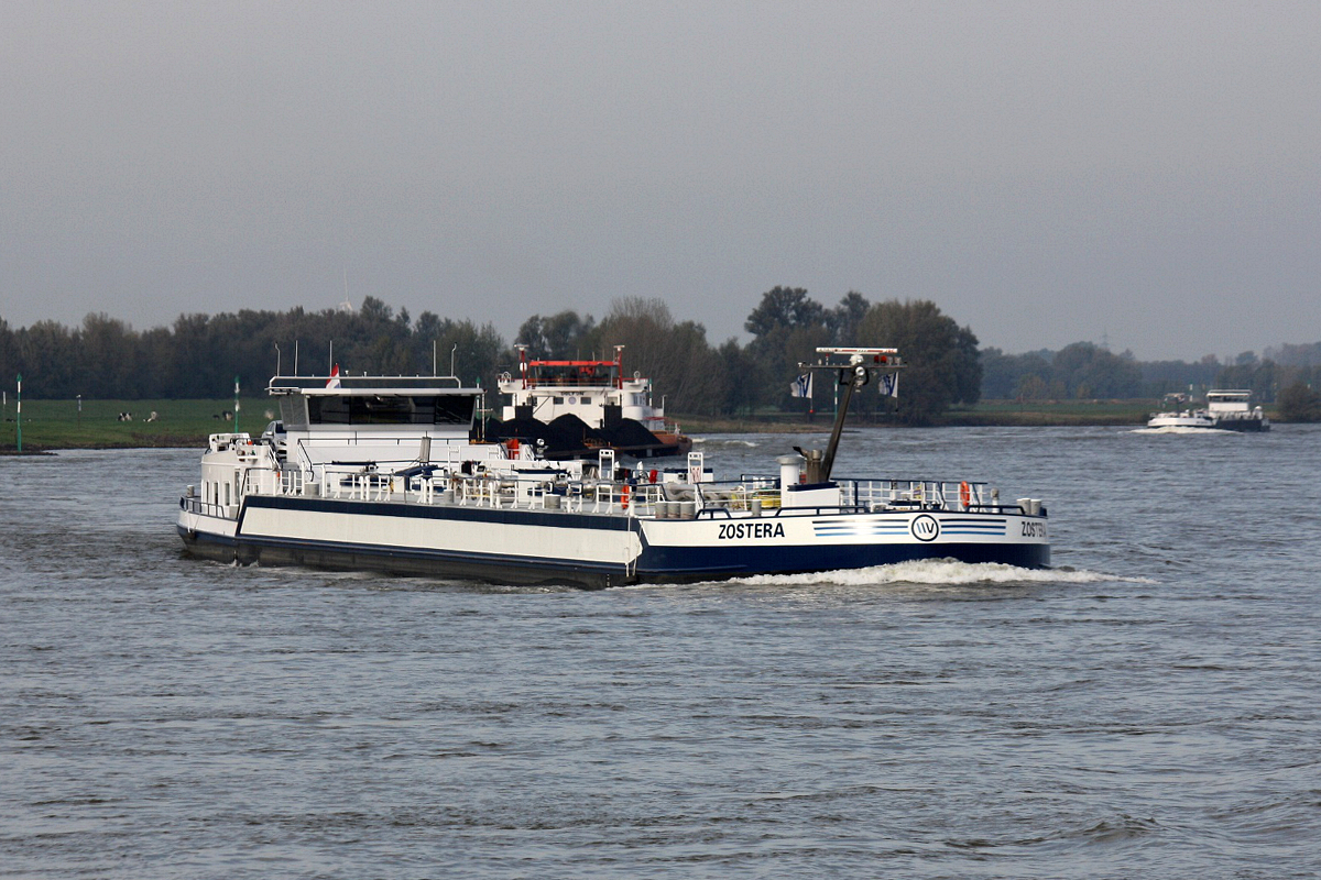 TMS Zostera (ENI:02337788) L.80,05 B.11,50 T.2389 Baujahr 2018 am 23.10.2019 auf dem Rhein bei Xanten.