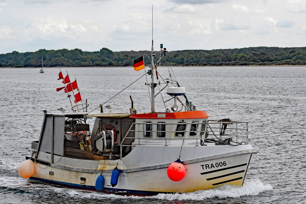 TRA 006  SANTOS  am 28.08.2018 in der Ostsee vor Lübeck-Travemünde