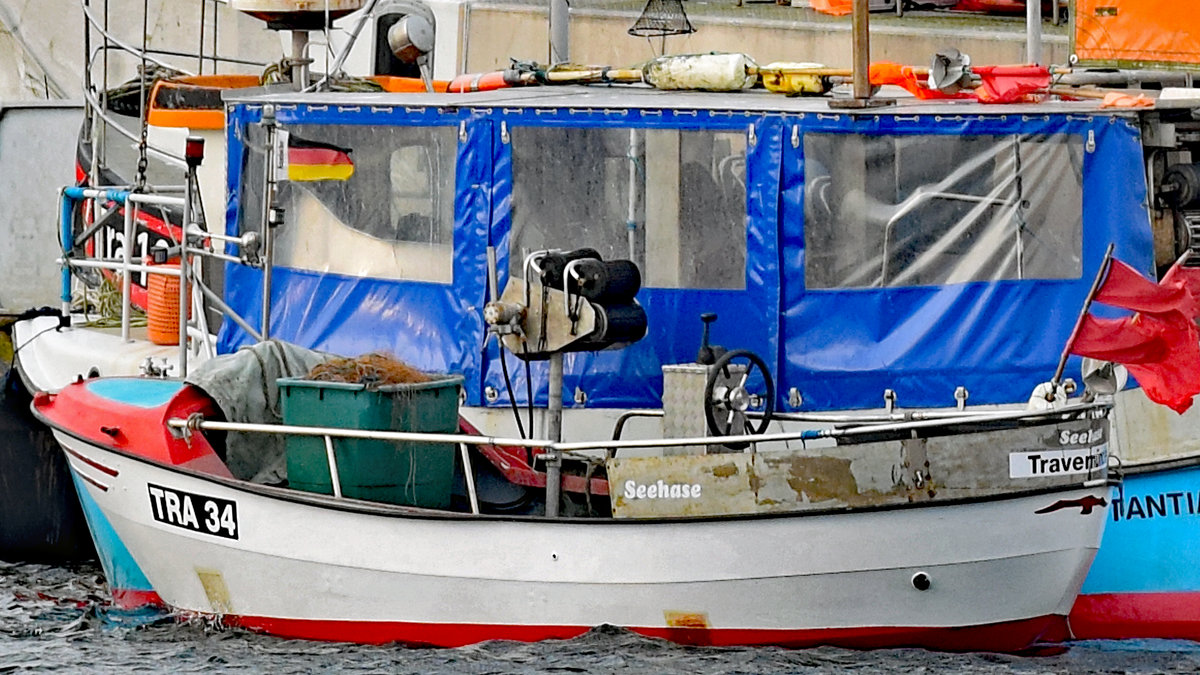 TRA 34  Seehase  am 11.1.2020 im Fischereihafen von Lübeck-Travemünde