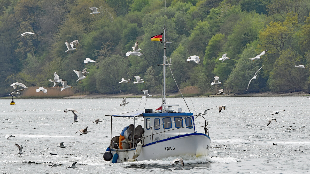 TRA 5 STEPENITZ am 10.05.2022 im Hafen von Lübeck-Travemünde (Höhe Skandinavienkai)