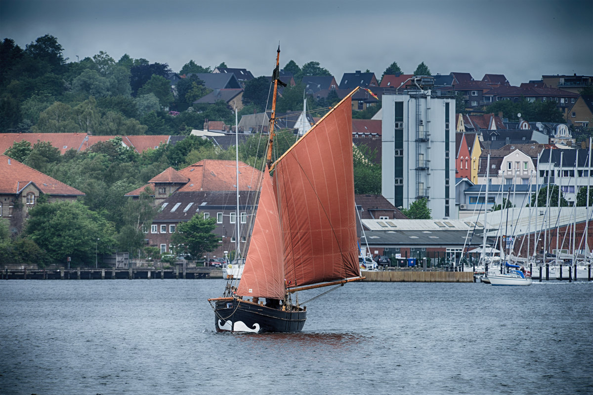 Traditionssegler zur Rum-Regatta im Flensburger Hafen. Aufnahme: 1. Juni 2019.