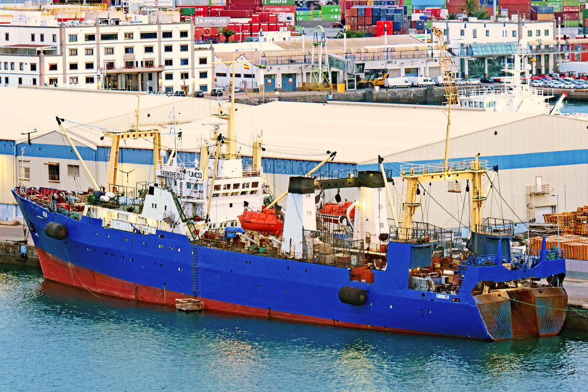 Trawler TRONDHEIM (IMO:8832112, MMSI:613003597) am 9.11.2019 im Hafen von Las Palmas de Gran Canaria