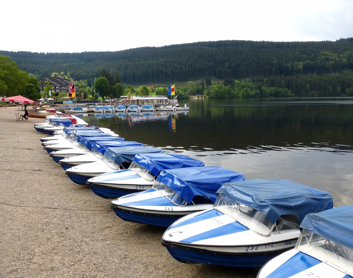  Tretboothafen  am Titisee/Schwarzwald, Juni 2014