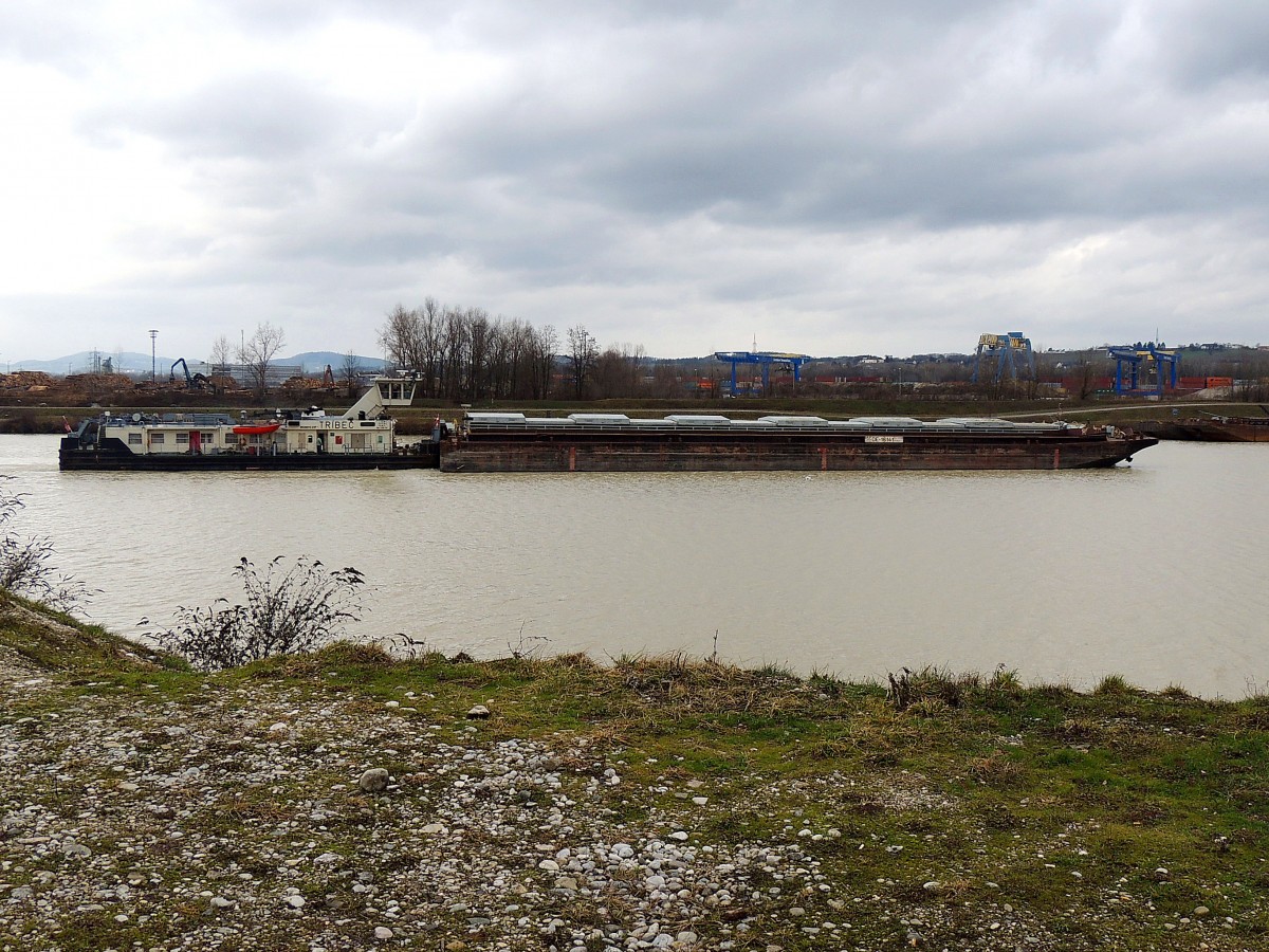 TRIBEC(09446016; L=36; B=11mtr; 2x700PS; Bj1985)schiebt zwei Bargen aus dem Ennshafen in Richtung Donau; 160204
