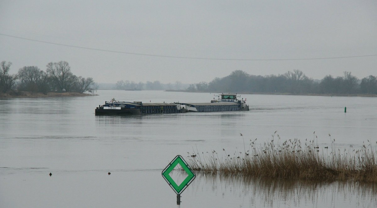 Trübes Licht am 26.01.2018 an der Elbe bei Sandau. Der Koppelverband mit GSL Schwinge (04503150 , 60,20 x 9,47m) & GMS Tor Elbe (04014120 , 90 x 9,50m) kurz vor der Fähre Sandau auf Talfahrt.