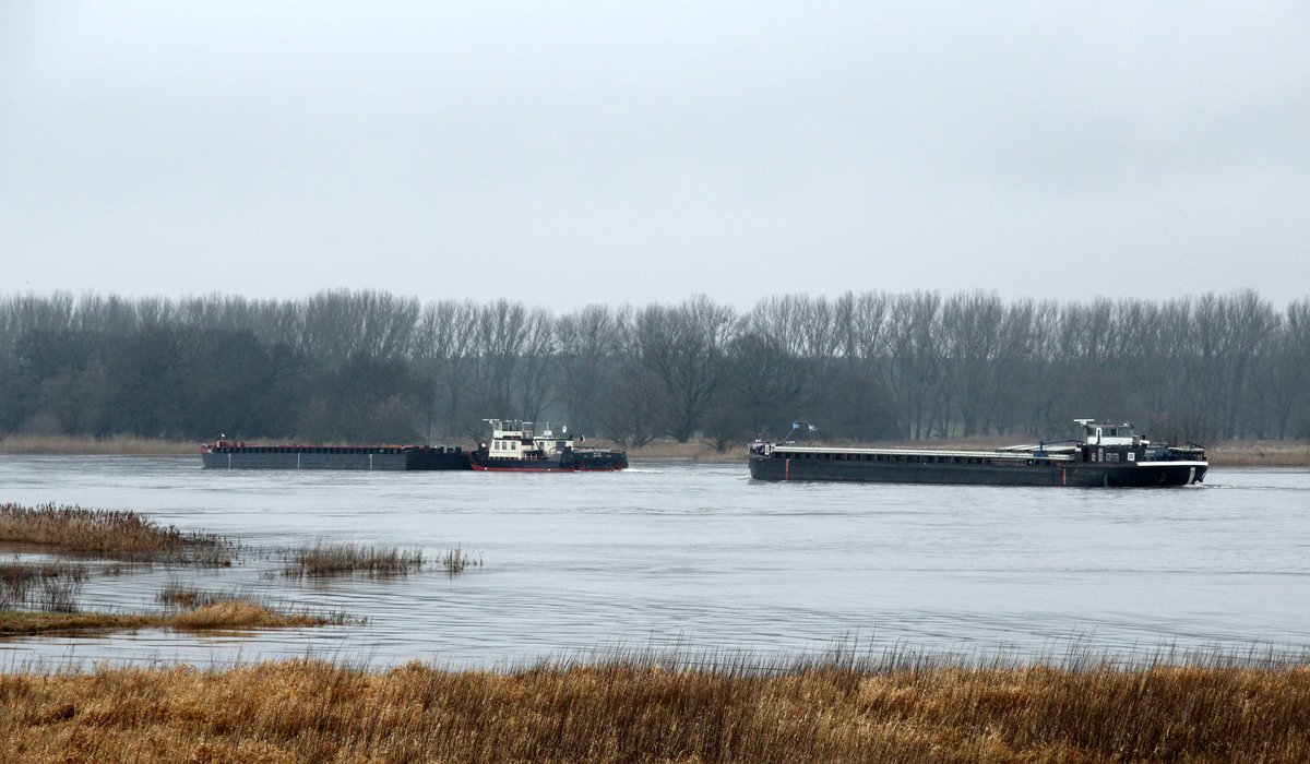 Überholvorgang auf der Elbe zu Tal am 26.01.2018. GMS Altmark (04031260) ist schneller unterwegs als der Schubverband mit SB TR 30 (32201070) unterhalb der Fähre Sandau. 