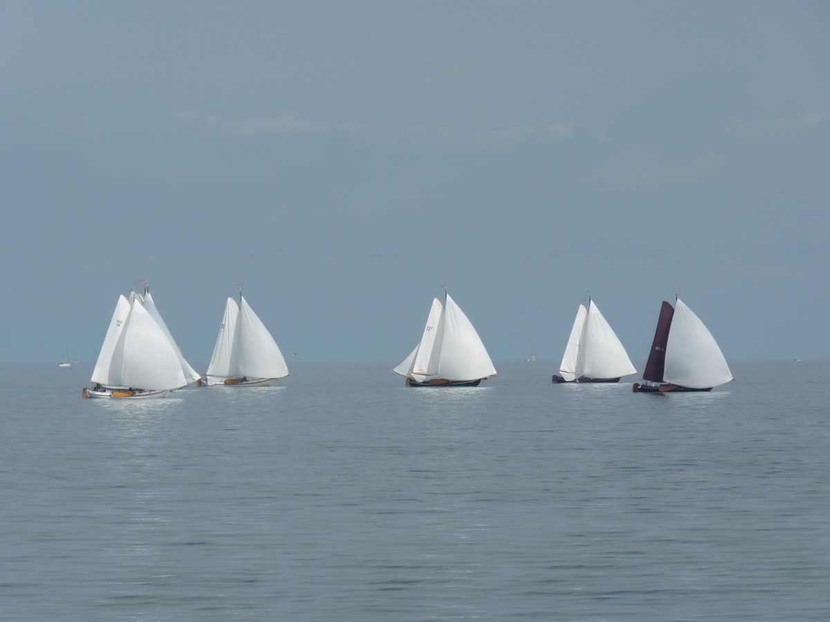 unbekannte Segler am 7.9.2014 auf dem Ijsselmeer vor Enkhuizen