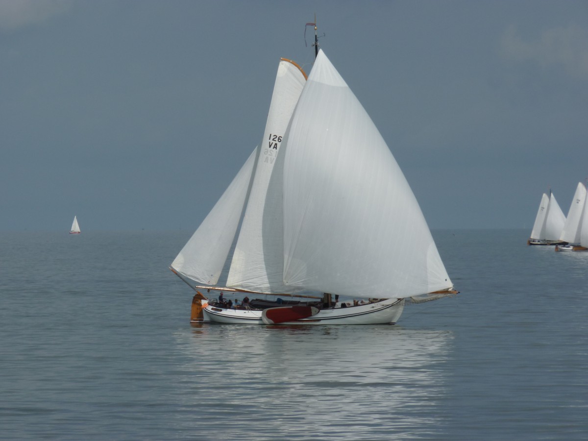 unbekannter Segler am 7.9.2014 auf dem Ijsselmeer vor Enkhuizen