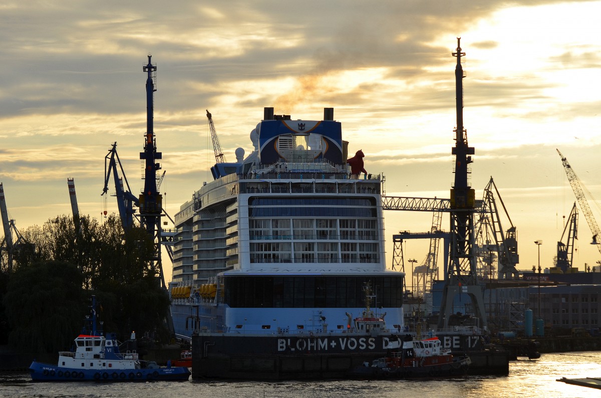 Und geschafft!Die Quantum Of The Seas IMO-Nummer:9549463 Flagge:Bahamas Baujahr:2014 Länge: 348.0m Breite:41.0m Baujahr:2014 Bauwerft:Meyer Werft,Papenburg Deutschland hat perfekt im Dock Elbe 17 von Blohm+Voss in Hamburg eingeparkt aufgenommen am 23.10.14