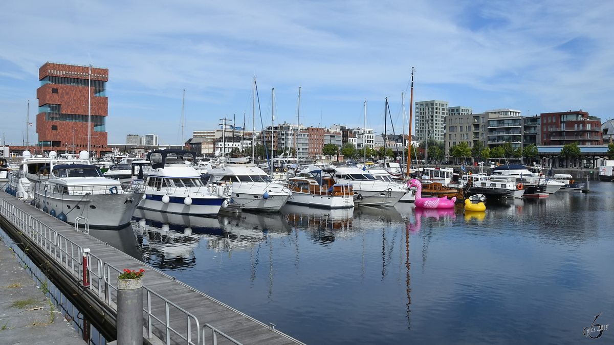 Verschiedene Yachten Ende Juli 2018 im Wellemdok in Antwerpen.