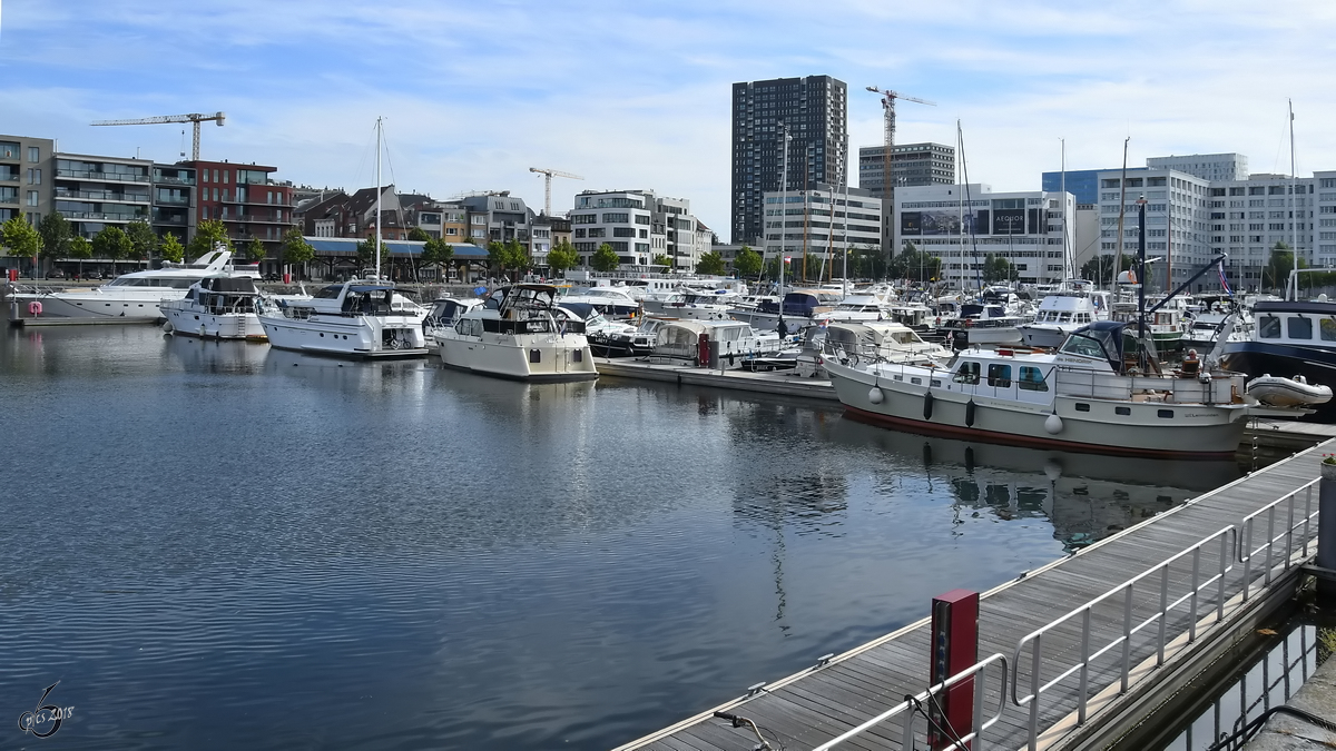 Verschiedene Yachten Ende Juli 2018 im Wellemdok in Antwerpen.