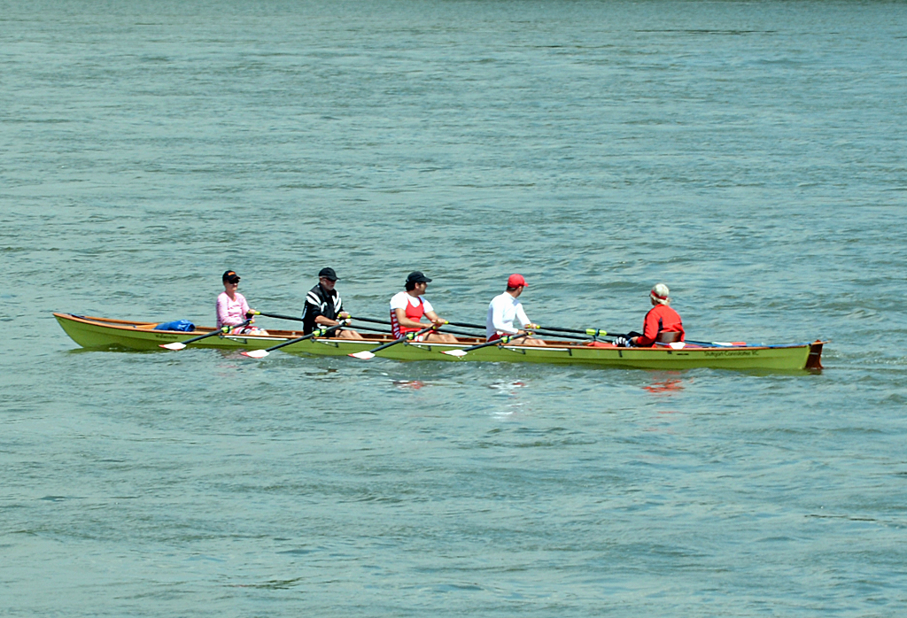  Vierer mit Steuermann  auf dem Rhein bei Königswinter - 31.05.2014