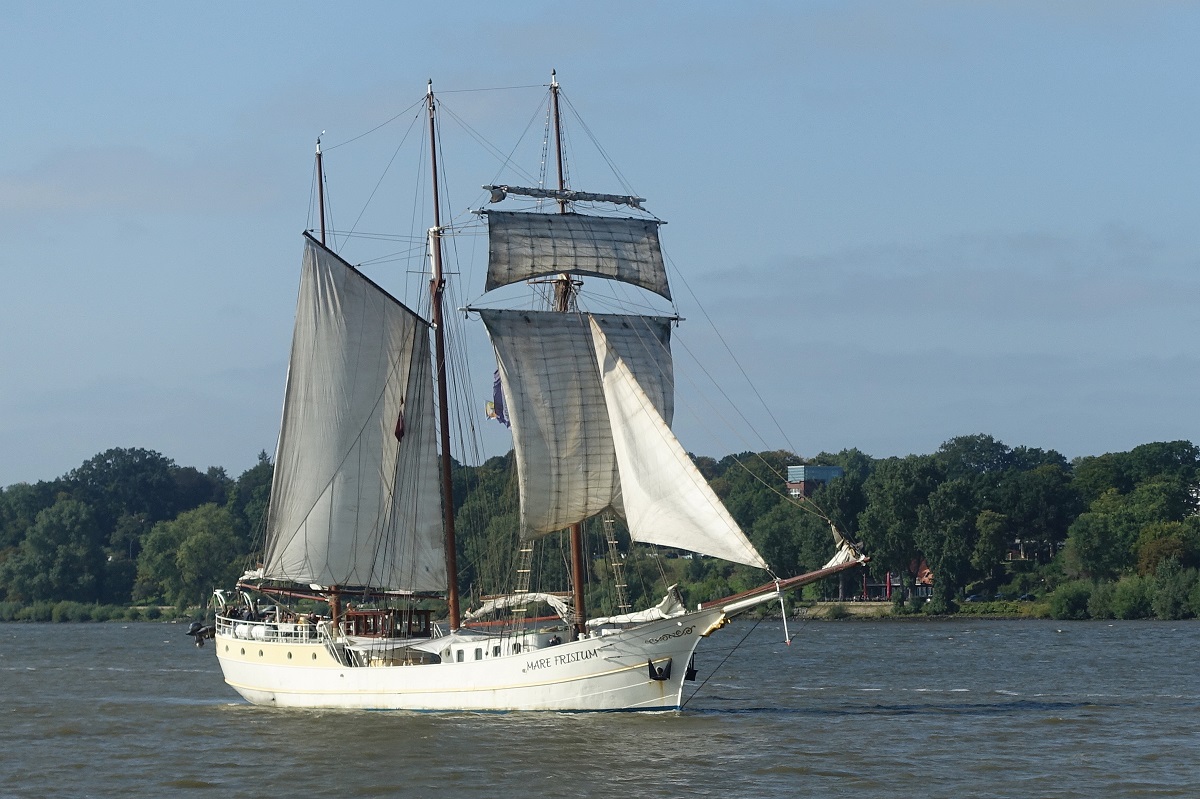 Vorbeifahrt der MARE FRISIUM (IMO 5344592) am 3.9.2021, aufkommend vor dem Wind segelnd,   Hamburg einlaufend, Elbe Höhe Finkenwerder  /

Ex-Namen: Petronella, Sunbeam, Helmut
3-Mastmarstoppsegelschoner / BRZ 210 / Lüa 49,5 m, B 6,7 m, Tg 3,3 m / Segelfläche: 634 m², 9 kn / 1 Diesel, Scania, 264 kW, 359 PS, 7 kn  / 90 Tagesgäste, 36 Pass., 12 Kabinen / Eigner: Nord Event GmbH,  Flagge: Niederlande, Heimathafen: Franeker / gebaut 1916 als Logger, 
