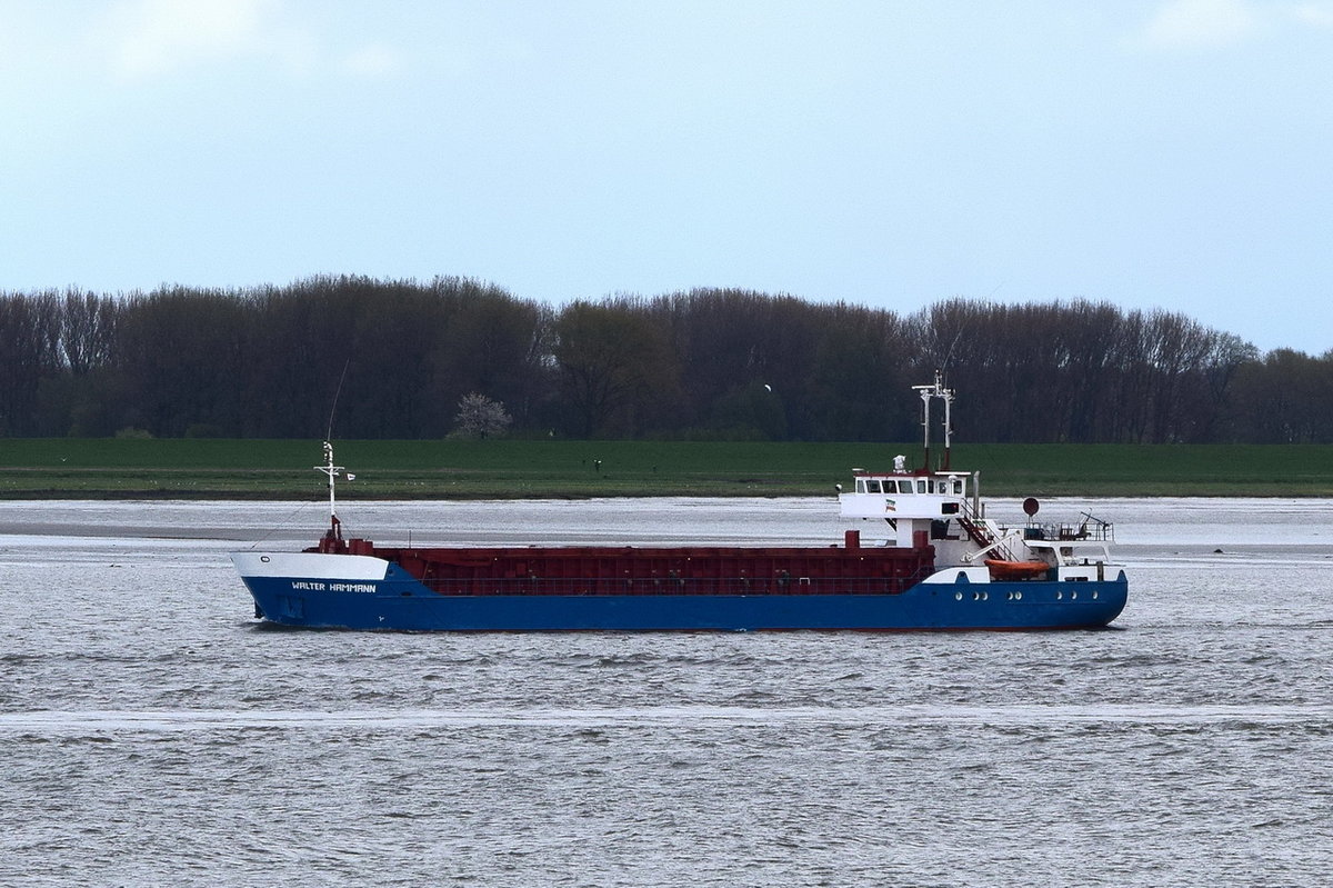 WALTER HAMMAN , General Cargo , IMO 8714841 , 50 TEU , 58.8 × 11.7m , 17.04.2017 Grünendeich