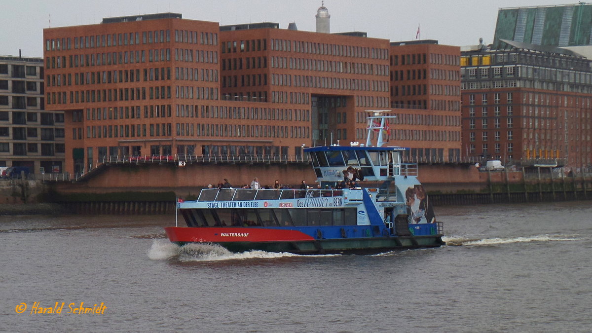 WALTERSHOF (2) (ENI 04802660) am 8.9.2015, Hamburg, Elbe Höhe Altona /  

Einmann-Fährschiff Typ 2000 / HADAG / Lüa 29,92 m, B 8,16 m, Tg 1,7 m / 2 Diesel, 2 Ruder-Propeller, 12 kn / 250 Pass. / 2004 bei SSB, Oortkaten, Hamburg /

