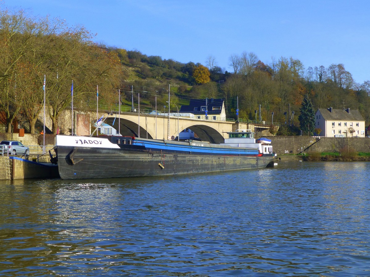 Wasserbillig (Luxemburg); das Gütermotorschiff  Jado  - IMO 1589248 - MMSI / CS 244645890 / PDAX8 - 67m x 8m. Fotografiert von der Fähre  Sankta Maria  aus, auf dem Weg über die Mosel von Oberbillig am rechten Moselufer (Rheinland-Pfalz) nach Wasserbillig am linken Moselufer. 28.11.2014
