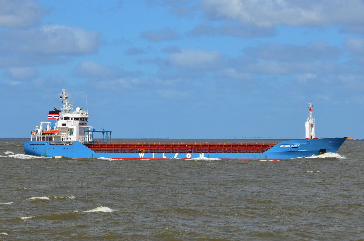 Wilson Hawk , General Cargo , IMO  9064906 , Baujahr 1994 , 91.2 × 13.8m , Cuxhaven , 12.05.2019