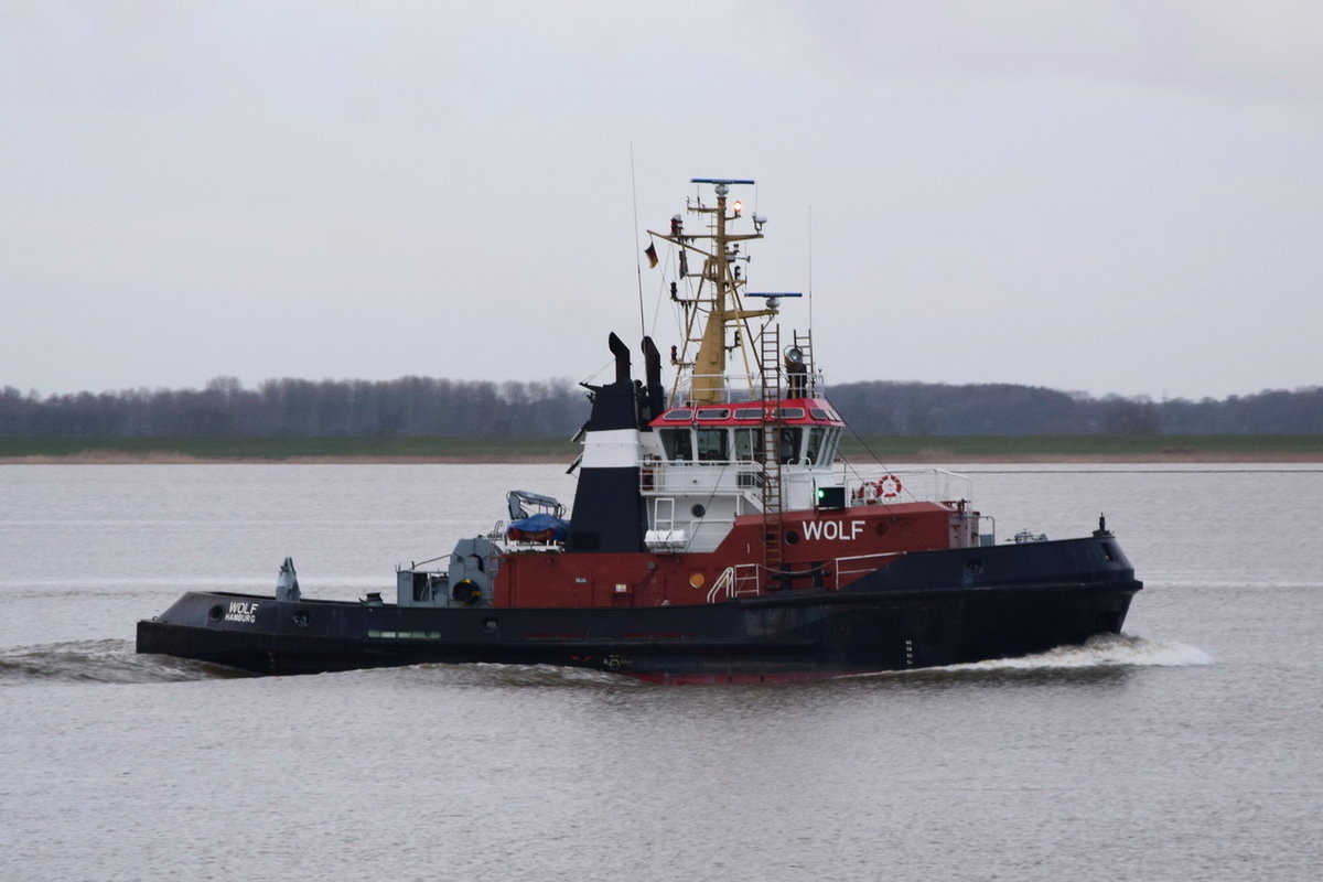 WOLF , Schlepper , IMO 9036260 , Baujahr 1993 , 31.34 × 10m , 10.03.2019 , Grünendeich