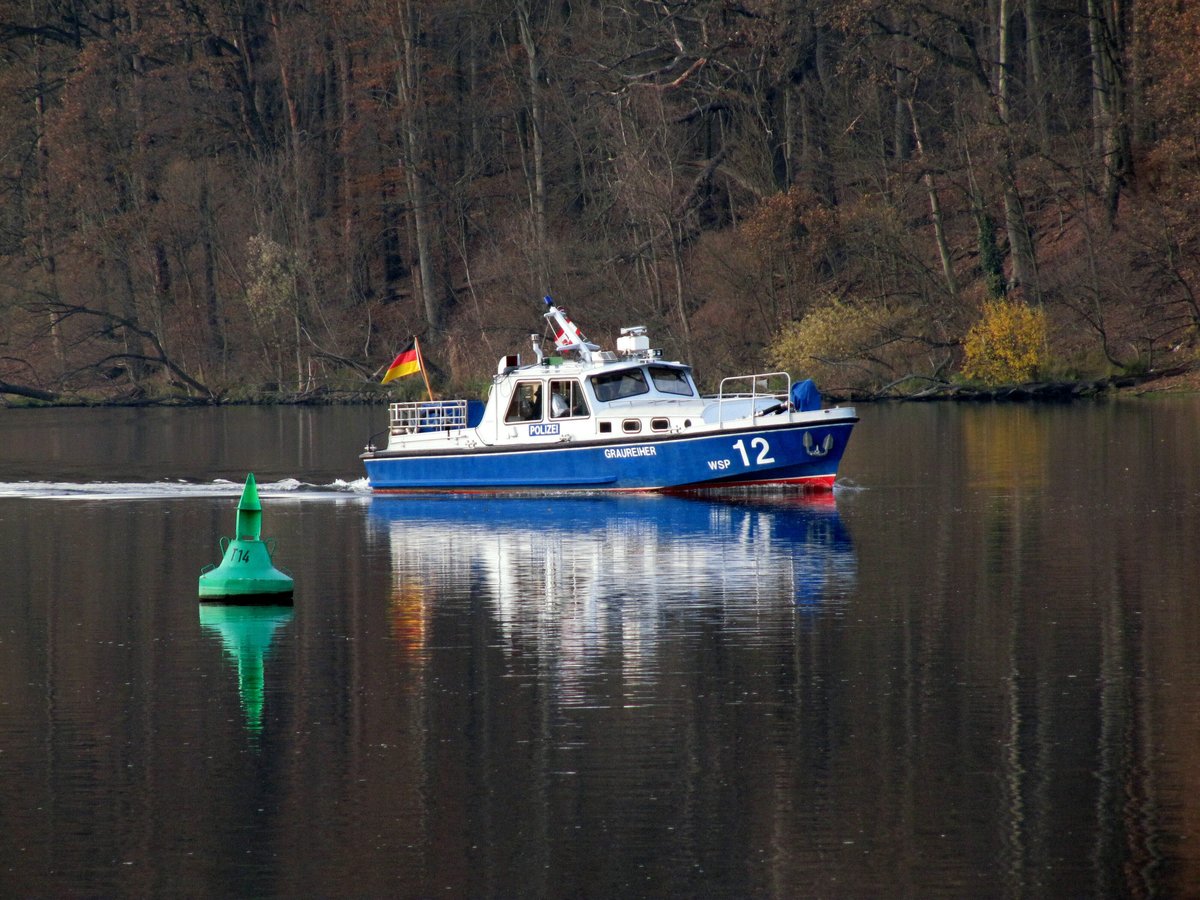 WSP 12 Graureiher am 22.11.2016 auf dem Griebnitzsee zu Berg.