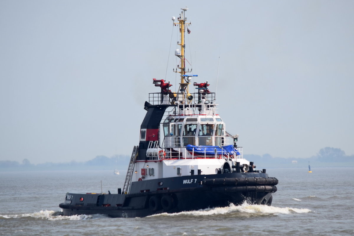 WULF 7 , Schlepper , IMO 9183075 , Baujahr 1998 , 30 × 9.9m , 17.05.2017  Cuxhaven