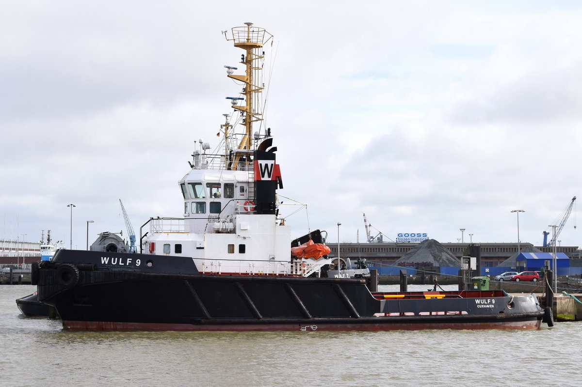 WULF 9 , Schlepper , IMO 8714243 , Baujahr 1988 ,  33 × 10m , 18.03.2017 Cuxhaven