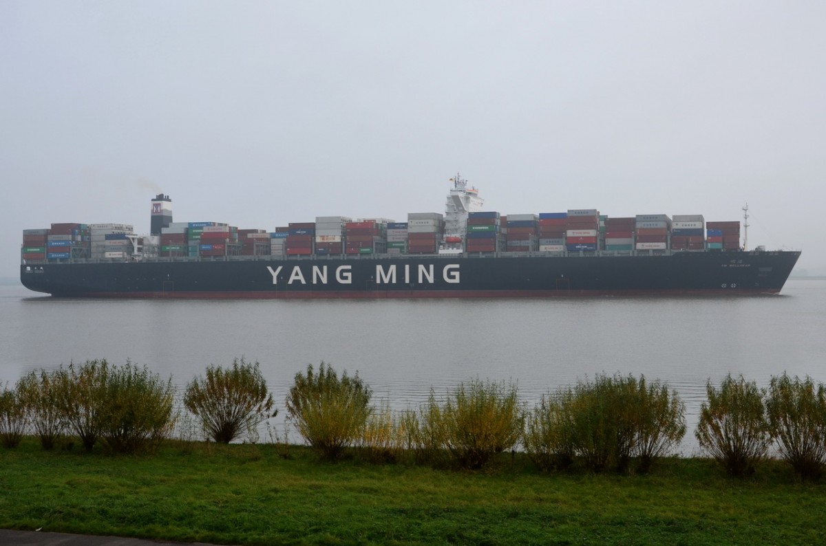YM WELLHAED , Containerschiff , IMO 9684665 , Baujahr 2015 , 368 x 51m , 14080 TEU , Lühe 21.10.2015